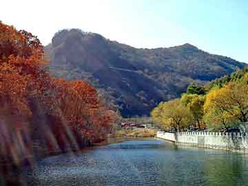 澳门二四六天天彩图库，城市一号草